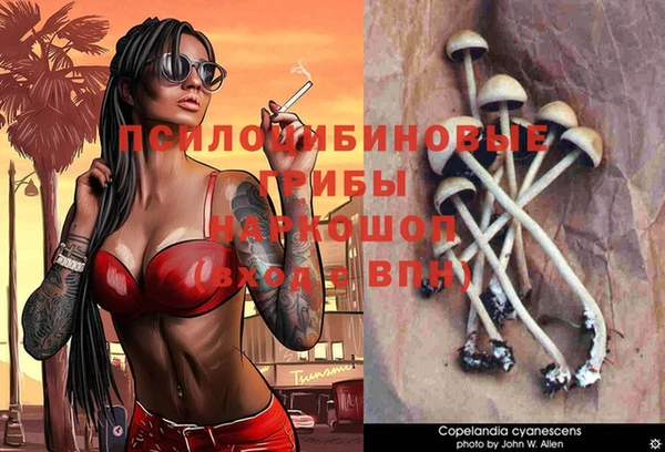 apvp Абдулино