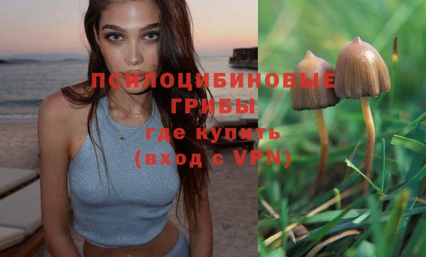apvp Абдулино