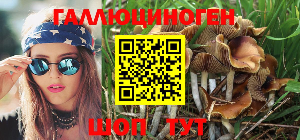 Псилоцибиновые грибы Magic Shrooms Алапаевск